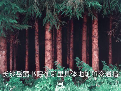 長沙岳麓書院在哪里具體地址和交通指南