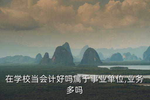 在學(xué)校當(dāng)會(huì)計(jì)好嗎屬于事業(yè)單位,業(yè)務(wù)多嗎