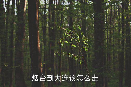 煙臺(tái)到大連該怎么走