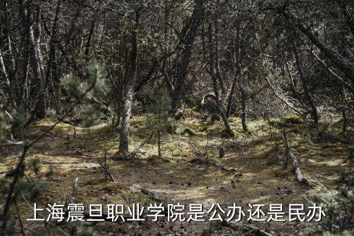 上海震旦職業學院是公辦還是民辦