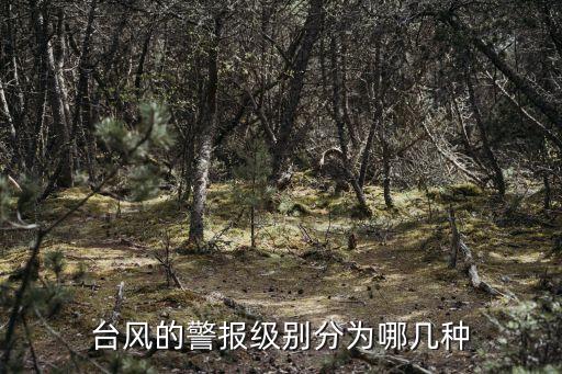 臺風的警報級別分為哪幾種