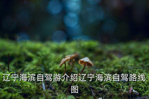濱海公路,五一自駕游指南濱海路上路旅行