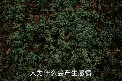 人為什么會產生感情