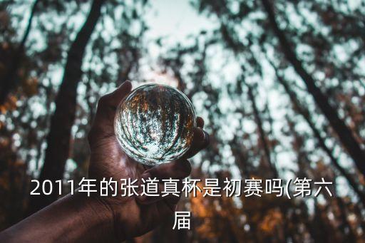 2011年的張道真杯是初賽嗎(第六屆