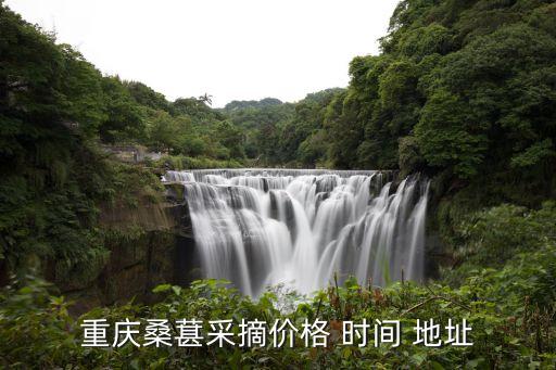 摘桑葚,摘桑葚發朋友圈配短文:小時候最喜歡吃桑葚