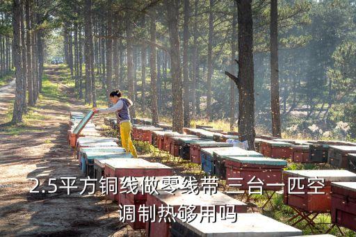 2.5平方銅線做零線帶 三臺一匹空調制熱夠用嗎