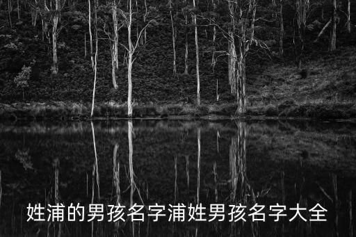 姓浦的男孩名字浦姓男孩名字大全