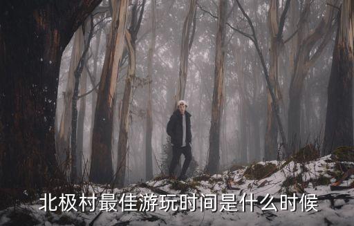 北極村,北極村必去景點