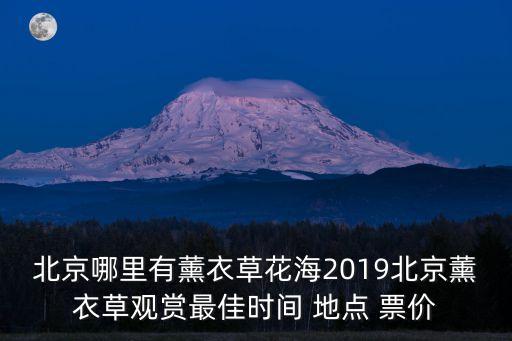 北京哪里有薰衣草花海2019北京薰衣草觀賞最佳時間 地點 票價