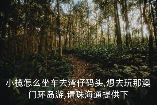 灣仔旅游碼頭,從金灣機場往灣仔碼頭靠岸