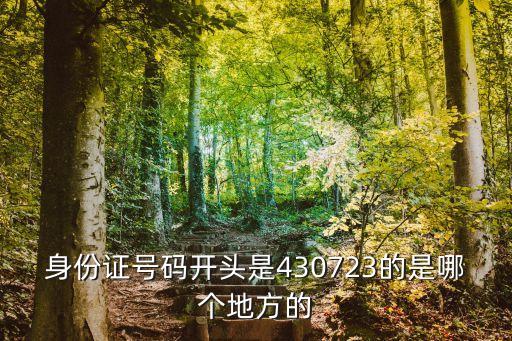 身份證號碼開頭是430723的是哪個地方的