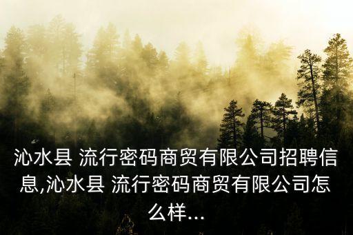 沁水縣 流行密碼商貿有限公司招聘信息,沁水縣 流行密碼商貿有限公司怎么樣...