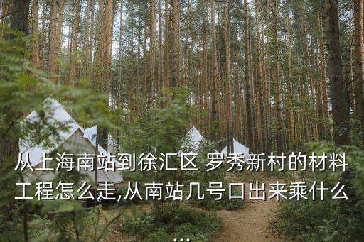 從上海南站到徐匯區(qū) 羅秀新村的材料工程怎么走,從南站幾號(hào)口出來乘什么...