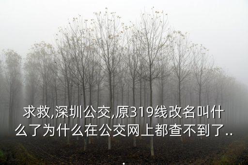 m358,深圳寶鼎總站到m358路有什么不同?
