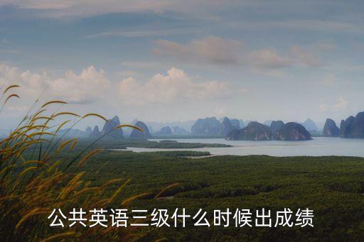 公共英語(yǔ)三級(jí)什么時(shí)候出成績(jī)