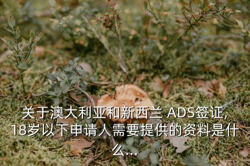 關于澳大利亞和新西蘭 ADS簽證,18歲以下申請人需要提供的資料是什么...
