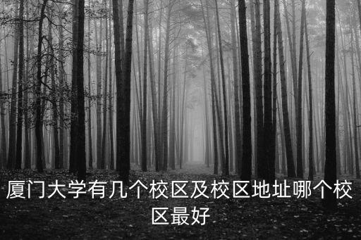 廈門大學(xué)在哪個區(qū),廈門大學(xué)有哪幾個校區(qū)?校區(qū)地址哪個地址最好?