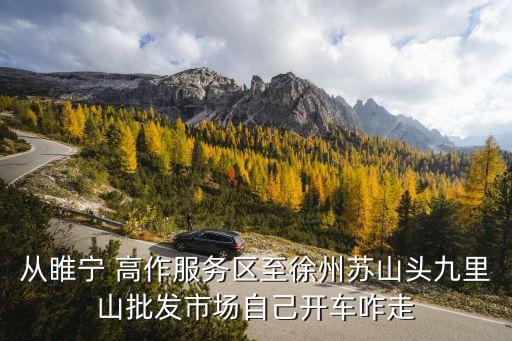從睢寧 高作服務區至徐州蘇山頭九里山批發市場自己開車咋走