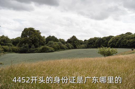 4452開頭的身份證是廣東哪里的