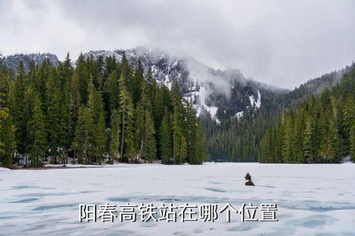 陽江北站,廣湛鐵路客運(yùn)專線全線擬設(shè)站名待定廣州至湛江