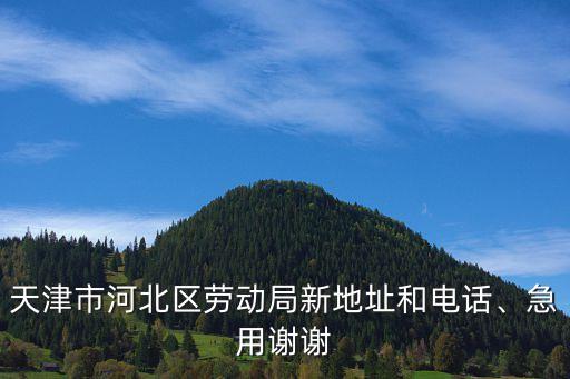 天津市河北區勞動局新地址和電話、急用謝謝