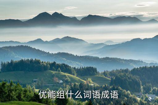 優(yōu)能組什么詞語(yǔ)成語(yǔ)