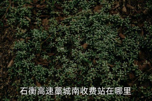 石衡高速藁城南收費站在哪里