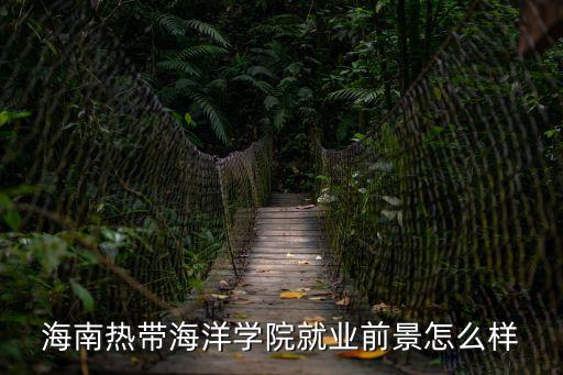 海南熱帶海洋大學(xué),海南熱帶海洋學(xué)院怎么樣?學(xué)校排名第一