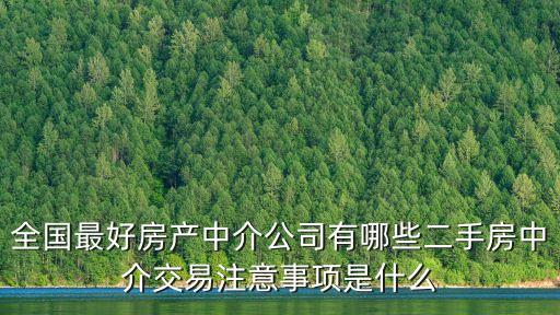 武漢市房地產經紀服務平臺,房地產中介服務有哪些?
