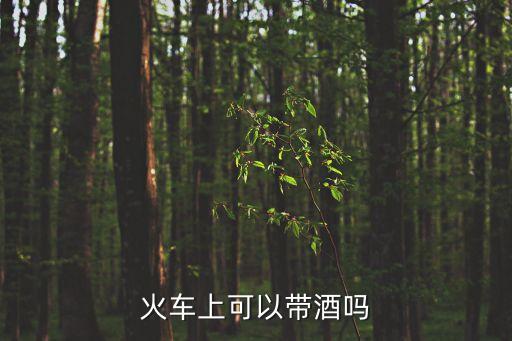 火車上可以帶酒嗎