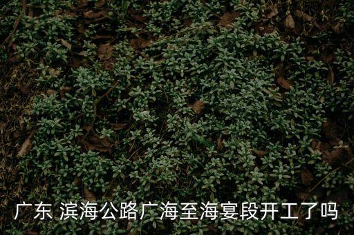 廣東 濱海公路廣海至海宴段開工了嗎