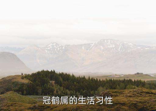 變化多端的動物,十二生肖驕橫跋扈的動物名單出爐!
