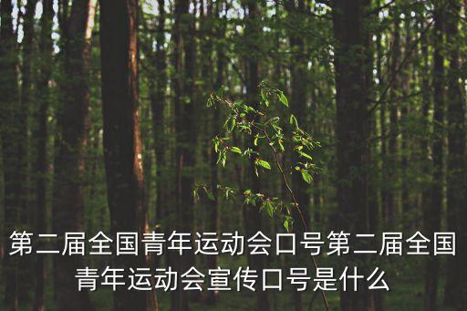 第二屆全國青年運動會口號第二屆全國青年運動會宣傳口號是什么