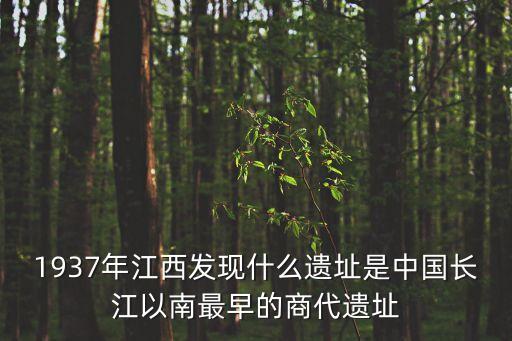 商都遺址,江西出土哪些商代都城遺址?