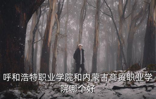 呼和浩特職業(yè)學(xué)院和內(nèi)蒙古商貿(mào)職業(yè)學(xué)院哪個(gè)好