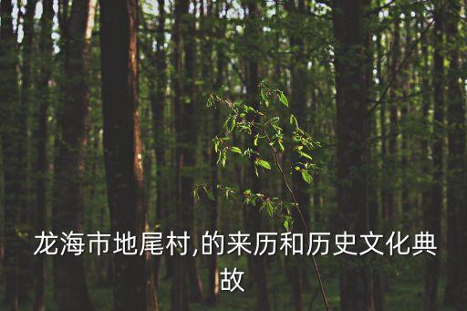  龍海市地尾村,的來歷和歷史文化典故