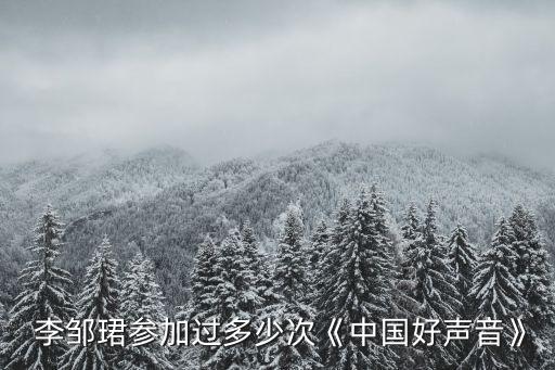  李鄒珺參加過多少次《中國好聲音》