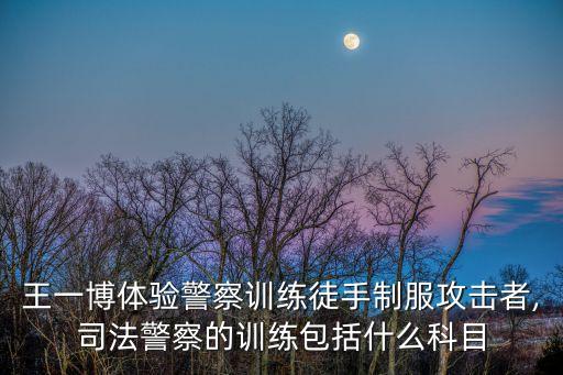 王一博體驗警察訓練徒手制服攻擊者,司法警察的訓練包括什么科目