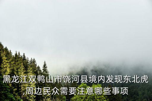黑龍江雙鴨山市饒河縣境內(nèi)發(fā)現(xiàn)東北虎,周邊民眾需要注意哪些事項(xiàng)