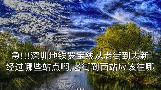 大新站,從老街到大新站需要多少趟地鐵?
