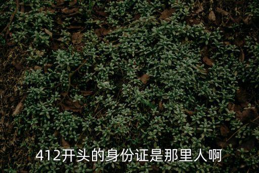 410184,身份證412開頭是哪里的?