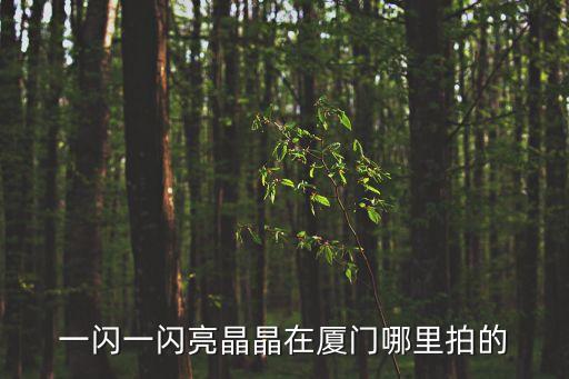 廈門影視基地,廈門影視拍攝基地開放日吸引逾百名影視從業(yè)者及學生參與
