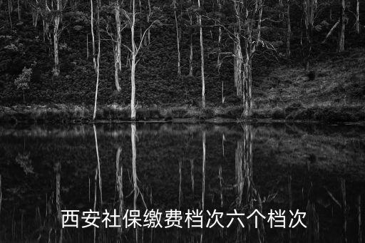  西安社保繳費(fèi)檔次六個(gè)檔次