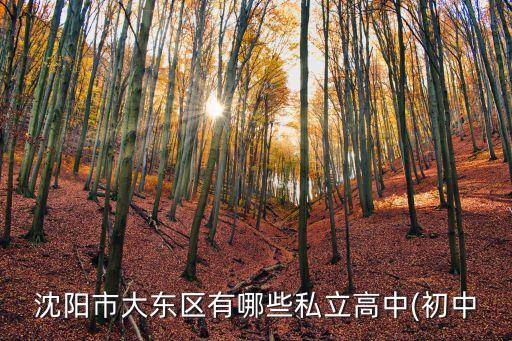 沈東中學,遼寧沈陽初中唯品中學和振東小學哪個好?