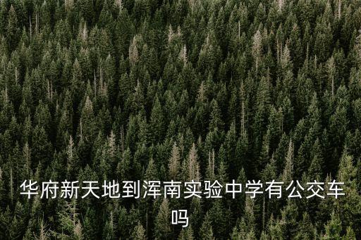 華府新天地,華府新天地到沈南實驗中學有公交嗎?