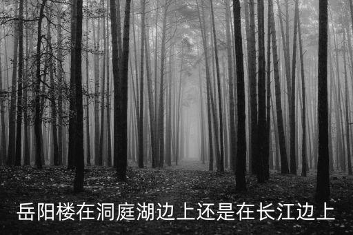 岳陽樓在洞庭湖邊上還是在長江邊上