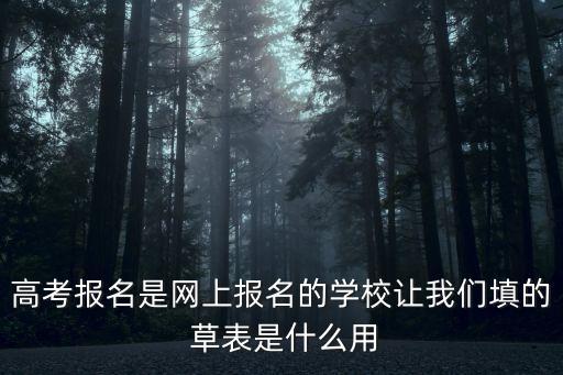 高考報名是網上報名的學校讓我們填的 草表是什么用