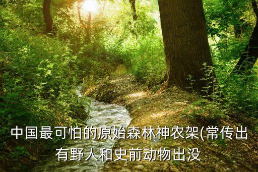 中國神農(nóng)架,中國神農(nóng)架深處不被允許前往?