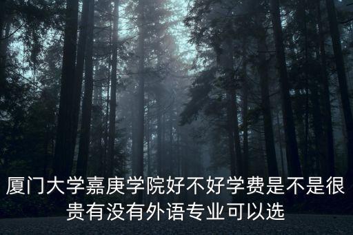 廈門大學嘉庚學院好不好學費是不是很貴有沒有外語專業可以選