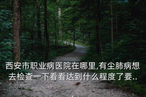 西安市職業病醫院在哪里,有塵肺病想去檢查一下看看達到什么程度了要...